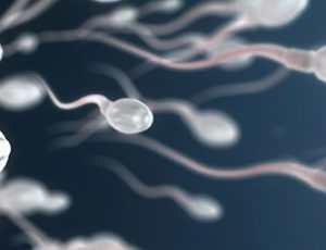 Quais são as principais causas da infertilidade masculina