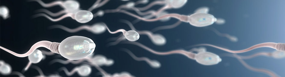 Quais são as principais causas da infertilidade masculina