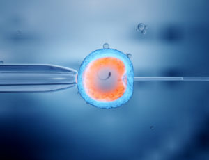 Como funciona a fertilização in vitro?